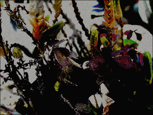 kl.gif