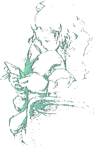 nnt2.gif