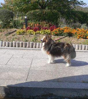 P1020740.JPG