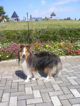 P1020746.JPG