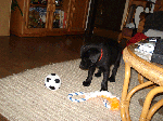 6e3f0708.gif
