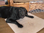 9a9fdcb0.gif