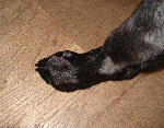 fd719525.gif