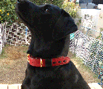 8860ade2.gif