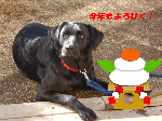 f64029f2.gif