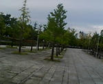 20070924163929.jpg