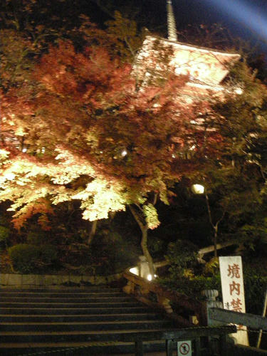 DSCN1667.JPG