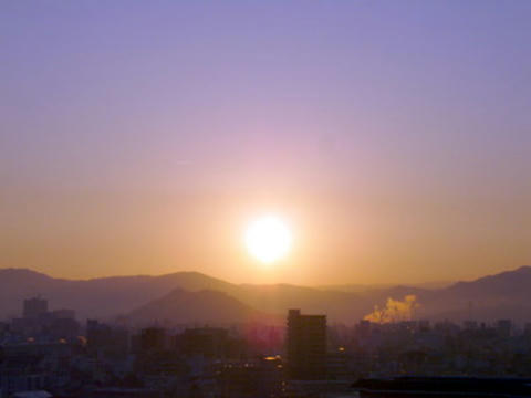 P1020449.jpg