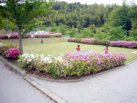 P1030560.JPG