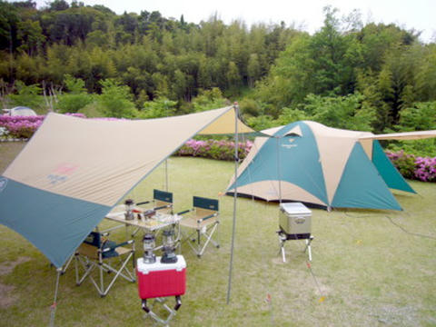 P1030515.JPG