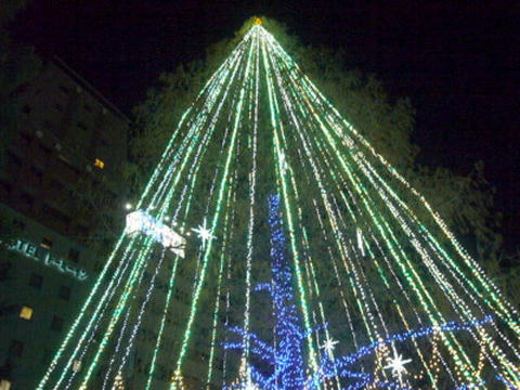P1040239.JPG