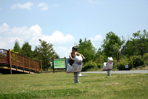 IMG_1973.JPG