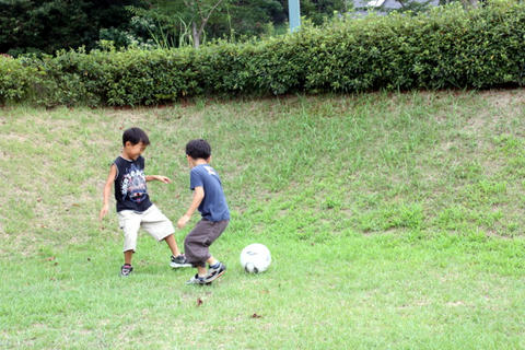 IMG_2271.JPG