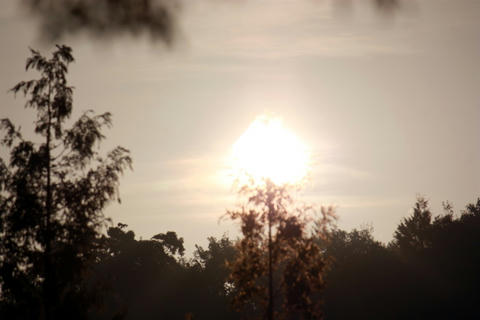 IMG_2548.JPG
