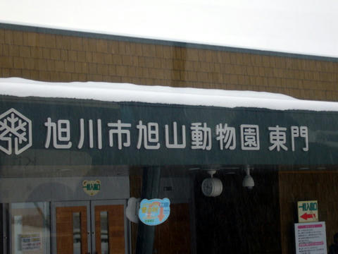 P1050118.JPG