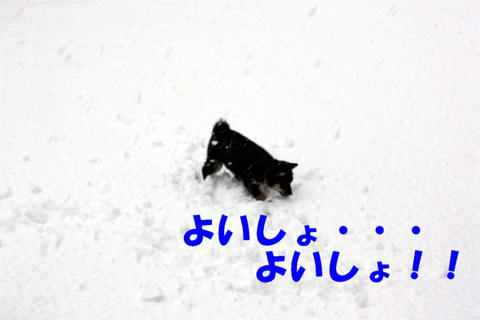 IMG_3203.JPG