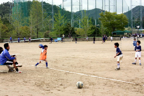 IMG_3515.JPG