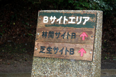 IMG_5002.JPG