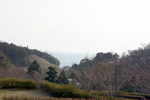 IMG_6803.JPG