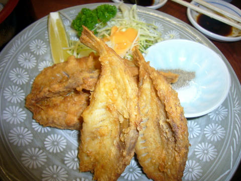 P1060454.JPG