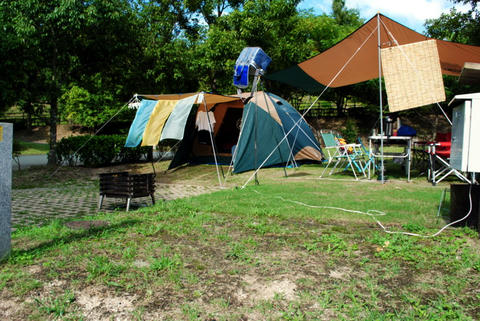 DSC_0250.JPG