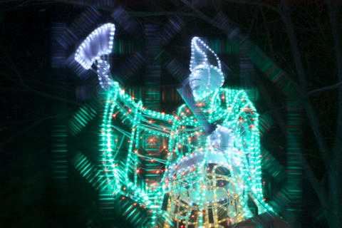 IMG_8929.JPG