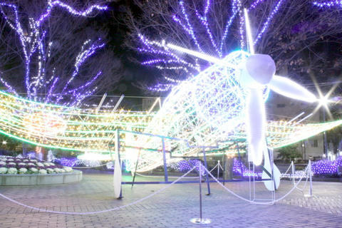 IMG_8941.JPG