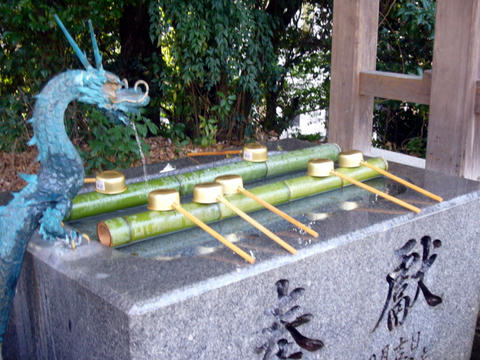 P1060633.JPG