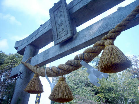 P1060629.JPG