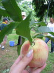 IMG_35831.jpg