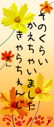 ぎんの言葉
