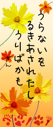 17日
