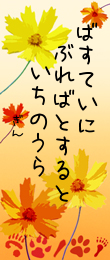 19日