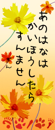 ２６日