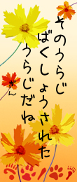 ２７日