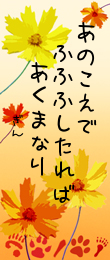 13日