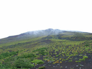 fuji7.jpg