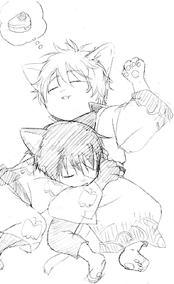 銀にゃん･にゃん杉
