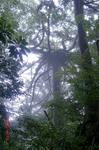 resize0170.jpg