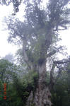 resize0182.jpg