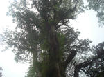 resize0185.jpg