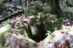 resize0220.jpg