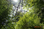 resize0221.jpg