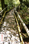 resize0222.jpg