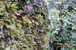 resize0225.jpg