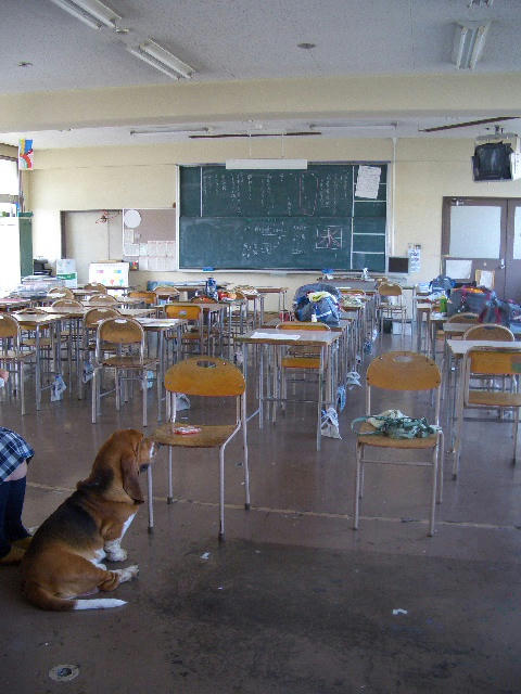 df5125c0.JPG