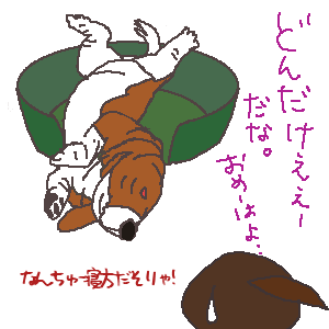 昼.gif
