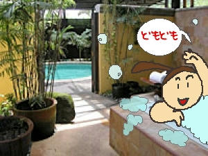 ｸﾞｱﾑ風ｽﾊﾟ.jpg