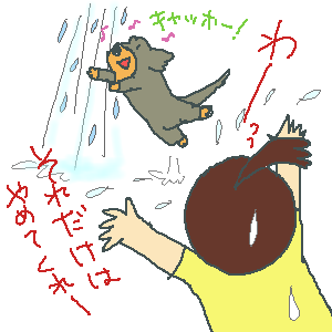 kdyt.gif