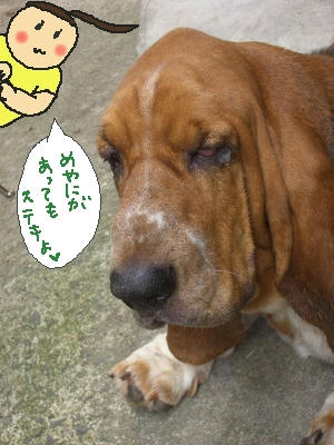 シワ・・怖すぎだけどね.jpg